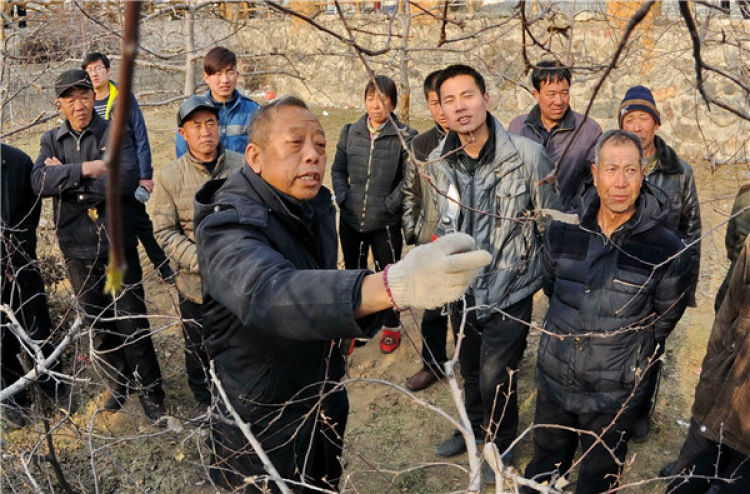 　　李保國(guó)（前左）在河北省內(nèi)丘縣崗底村向村民講解果樹修剪知識(shí)（2016年1月27日攝）。新華社記者 朱旭東 攝